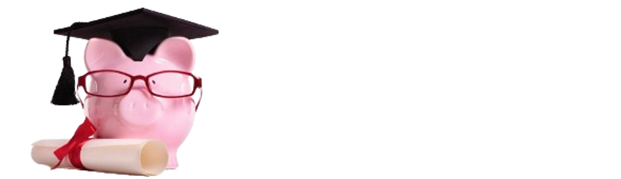 Welcome to FAFSA911.com